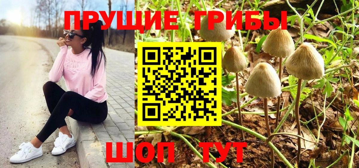 Галлюциногенные грибы Magic Shrooms  Вход с VPN  Кинешма 
