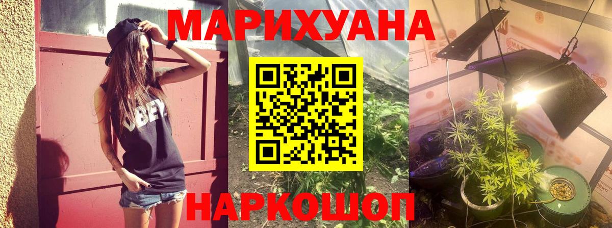 Шишки марихуана планчик  МАРИХУАНА план  Вход с VPN  Кинешма  Шишки марихуана Amnesia  МАРИХУАНА LSD WEED 